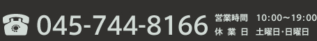 045-744-8166